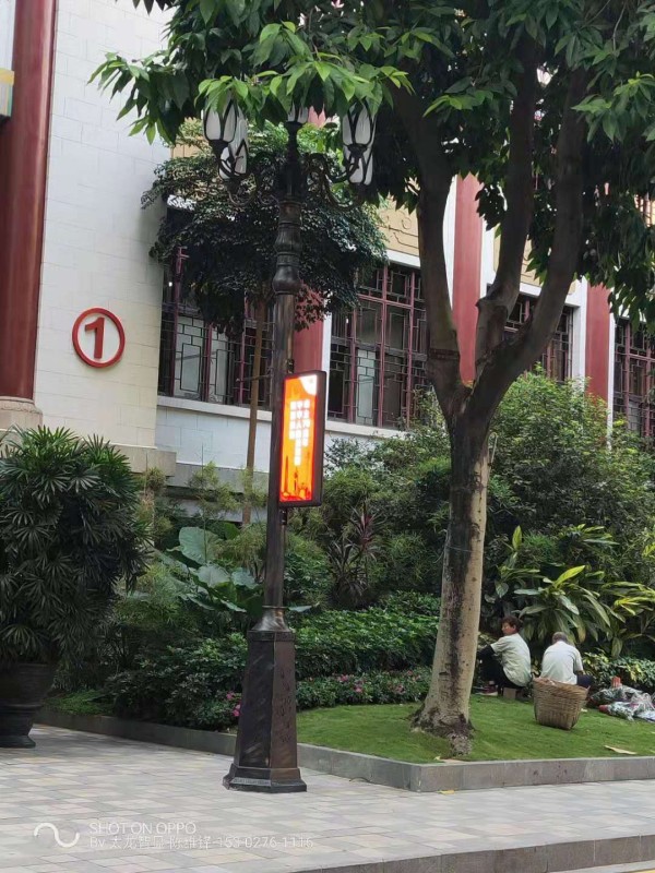 太龙智显LED灯杆屏进驻广州市政府大院助力信息化普及 (1).jpg
