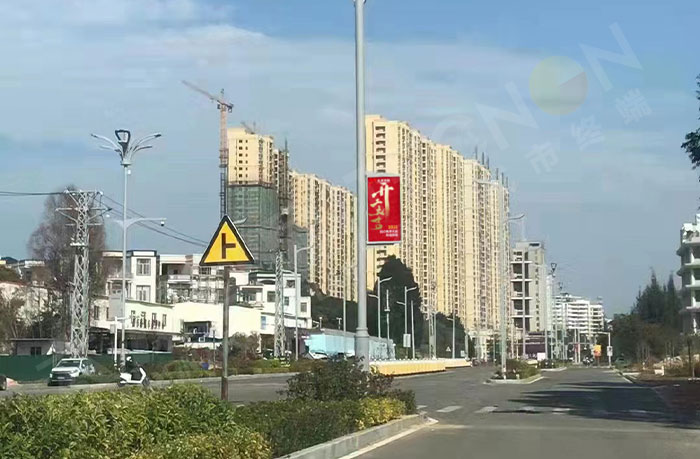 福建漳州东山县西环一路应用全铸铝灯杆